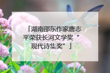湖南邵东作家唐志平荣获长河文学奖“现代诗集奖”