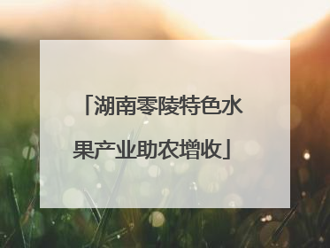 湖南零陵特色水果产业助农增收
