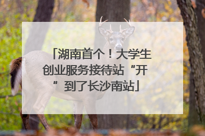 湖南首个！大学生创业服务接待站“开”到了长沙南站