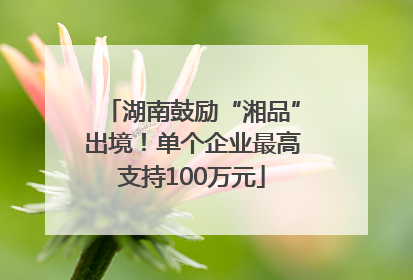 湖南鼓励“湘品”出境！单个企业最高支持100万元