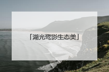湖光鹭影生态美