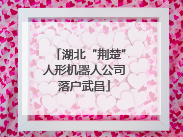 湖北“荆楚”人形机器人公司落户武昌