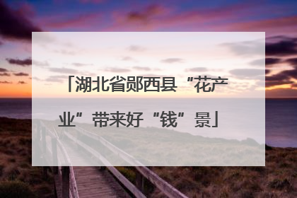 湖北省郧西县“花产业”带来好“钱”景