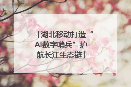 湖北移动打造“AI数字哨兵”护航长江生态链