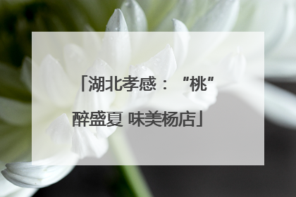湖北孝感：“桃”醉盛夏 味美杨店