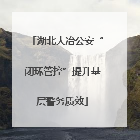 湖北大冶公安“闭环管控”提升基层警务质效