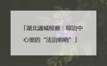 湖北通城检察：综治中心里的“法治前哨”