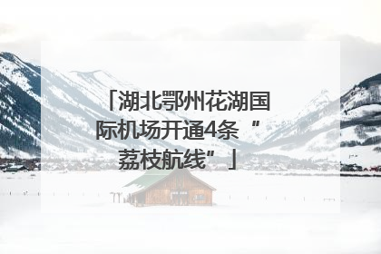 湖北鄂州花湖国际机场开通4条“荔枝航线”