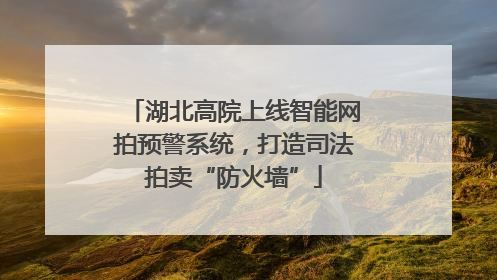 湖北高院上线智能网拍预警系统，打造司法拍卖“防火墙”