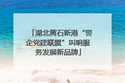 湖北黄石新港“警企党建联盟”叫响服务发展新品牌