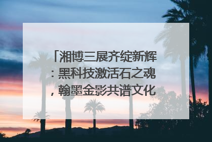 湘博三展齐绽新辉：黑科技激活石之魂，翰墨金影共谱文化遗产日华章