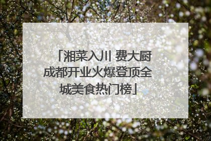湘菜入川 费大厨成都开业火爆登顶全城美食热门榜