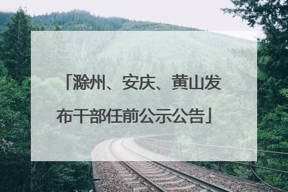 滁州、安庆、黄山发布干部任前公示公告