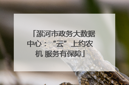 漯河市政务大数据中心：“云”上约农机 服务有保障