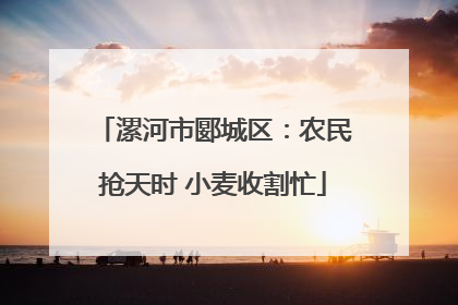漯河市郾城区：农民抢天时 小麦收割忙