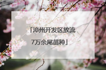 漳州开发区放流7万余尾苗种
