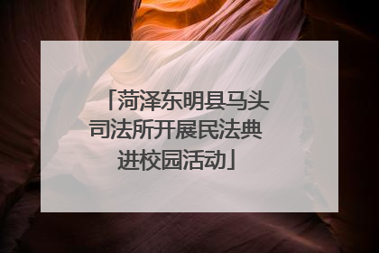 菏泽东明县马头司法所开展民法典进校园活动