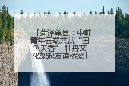 菏泽单县：中韩青年云端共赏“国色天香” 牡丹文化架起友谊桥梁