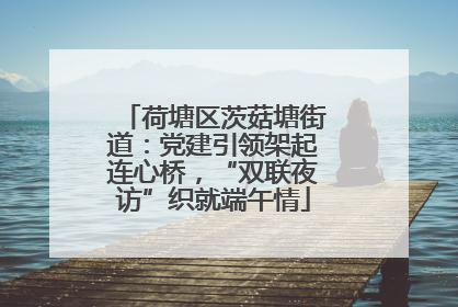荷塘区茨菇塘街道：党建引领架起连心桥，“双联夜访”织就端午情