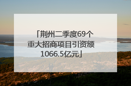 荆州二季度69个重大招商项目引资额1066.5亿元