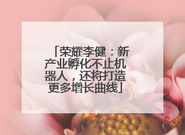 荣耀李健：新产业孵化不止机器人，还将打造更多增长曲线