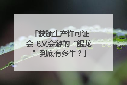 获颁生产许可证 会飞又会游的“鲲龙”到底有多牛？