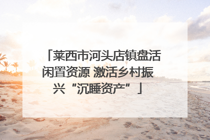 莱西市河头店镇盘活闲置资源 激活乡村振兴“沉睡资产”