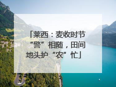 莱西：麦收时节“警”相随，田间地头护“农”忙
