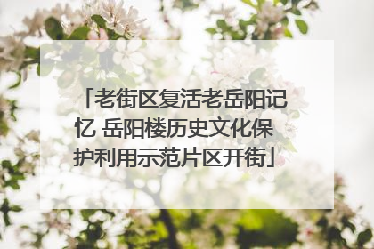老街区复活老岳阳记忆 岳阳楼历史文化保护利用示范片区开街