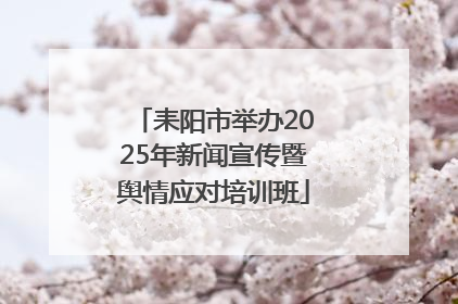 耒阳市举办2025年新闻宣传暨舆情应对培训班