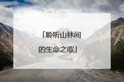 聆听山林间的生命之歌
