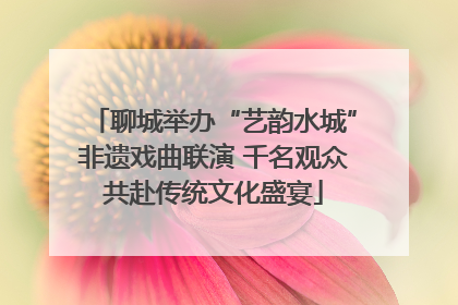 聊城举办“艺韵水城”非遗戏曲联演 千名观众共赴传统文化盛宴