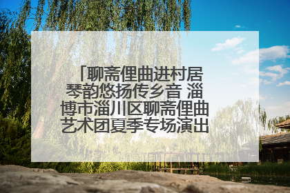 聊斋俚曲进村居 琴韵悠扬传乡音 淄博市淄川区聊斋俚曲艺术团夏季专场演出在杏园子村举行