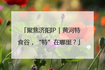 聚焦济阳IP｜黄河特食谷，“特”在哪里？