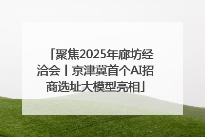 聚焦2025年廊坊经洽会丨京津冀首个AI招商选址大模型亮相