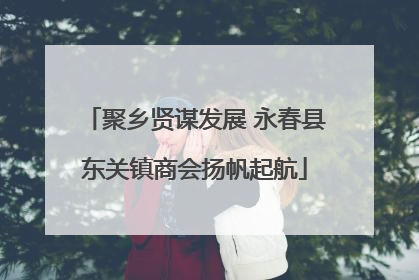 聚乡贤谋发展 永春县东关镇商会扬帆起航