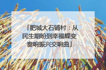 肥城大石铺村：从民生期盼到幸福蝶变奏响振兴交响曲