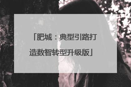 肥城：典型引路打造数智转型升级版