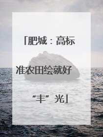 肥城：高标准农田绘就好“丰”光