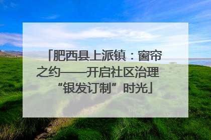 肥西县上派镇：窗帘之约——开启社区治理“银发订制”时光