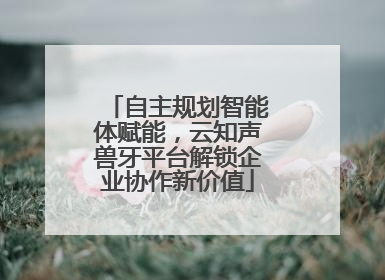 自主规划智能体赋能，云知声兽牙平台解锁企业协作新价值