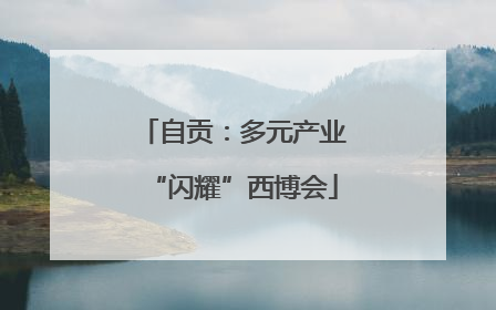 自贡：多元产业“闪耀”西博会