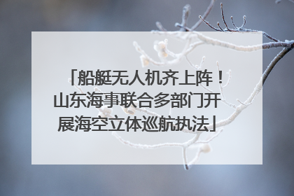 船艇无人机齐上阵！山东海事联合多部门开展海空立体巡航执法