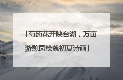 芍药花开映台湖，万亩游憩园绘就初夏诗画
