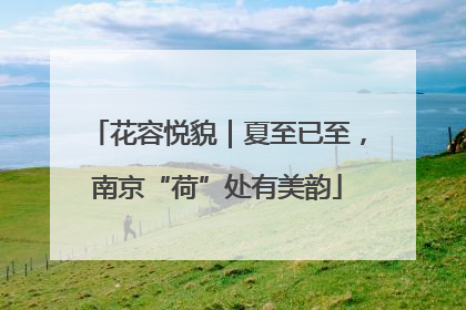 花容悦貌｜夏至已至，南京“荷”处有美韵