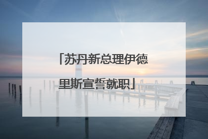 苏丹新总理伊德里斯宣誓就职