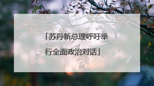 苏丹新总理呼吁举行全面政治对话