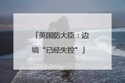 英国防大臣：边境“已经失控”