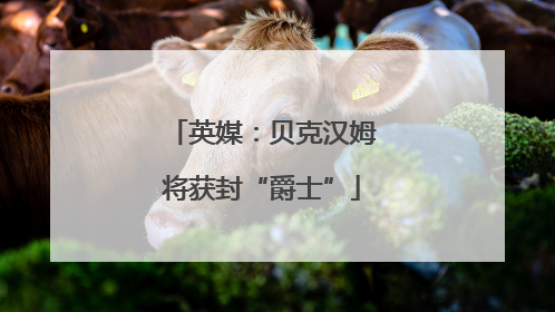 英媒：贝克汉姆将获封“爵士”