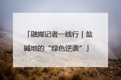 融媒记者一线行｜盐碱地的“绿色逆袭”